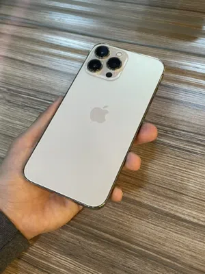 iPhone 13pro Max