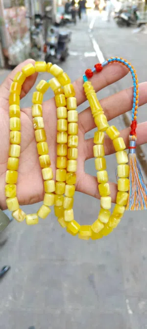مسباح كهرب بولوني