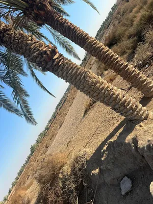 Mixed Use Land for Sale in Qadisiyah Al-Hamzah