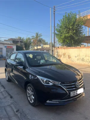 شانجان السفن للبيع بحالة ممتازة جدا