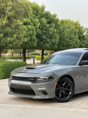 Used Dodge Charger in Muscat