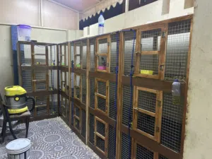 فقص غير مستخدم