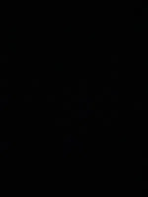 احتاج كلب هاسكي لتبني بدون رسوم ف جده