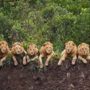 سحقا للالحاد  والنسوية لا اله الا الله محمد رسول الله
