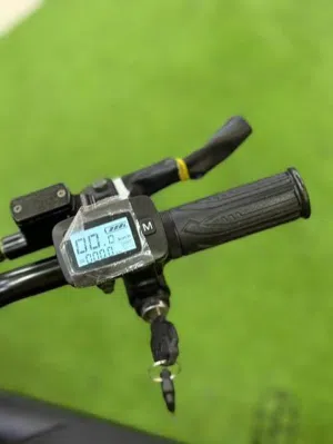 Kugoo throttle