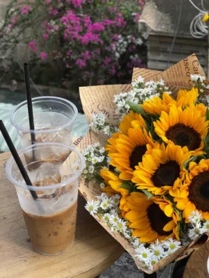 زَينب نشأت ضرار مسالمة 