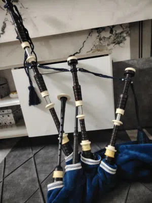 قربه عمدان ارلندي قواعد انجليزي وجلد انجليزي وسبس انجليزي