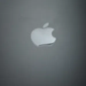 البصري 