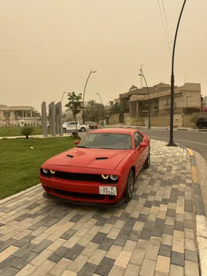 سلام عليكم جالنجر البيع