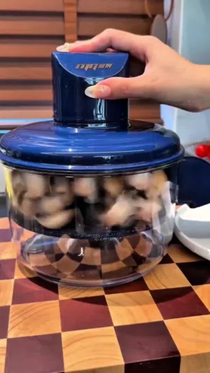 قشاره كهربائيّة ذكيه