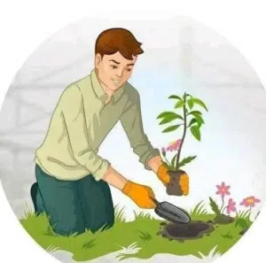 تنسيق الحدائق والمزارع