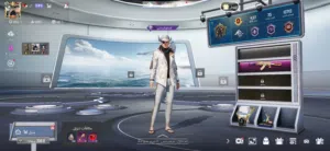 Pubg Accounts and Characters for Sale in Irbid