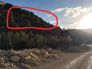 Mixed Use . 1500 m2 . Landlord1