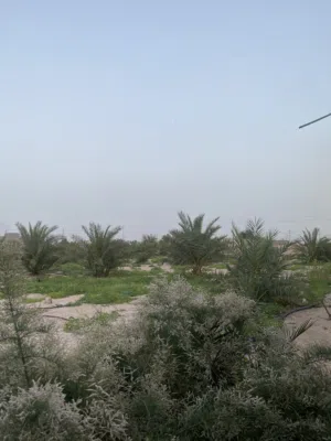 ارض زراعيه موجود بيه بستانين + بيتين +بئر ماء حلوو + شارع خاص بيك + مساحه اضافيه