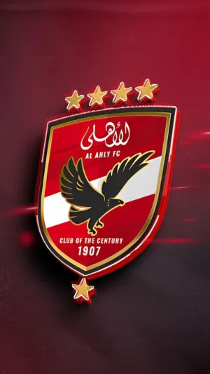 أحمد الشافعي صلاح عباس طنطاوي 