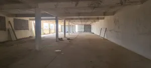 Yearly . 500 m24
