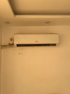 سبلت طن ميديا انفيرتر سبلت طن ونص البلسان