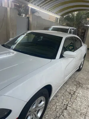 New Dodge Charger in Basra