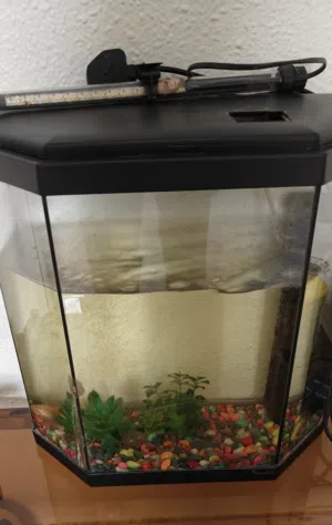 Fish tank with light and pump