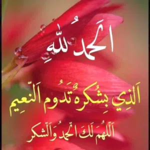 احمد 