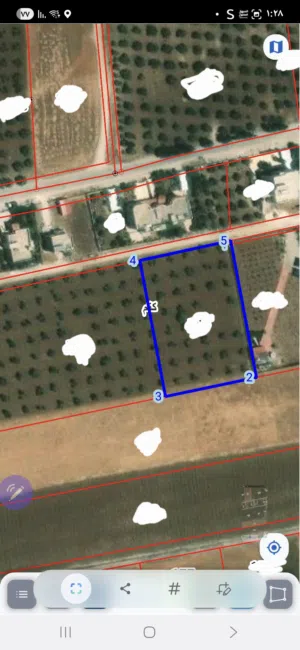 Farm Land for Sale in Irbid Kitim