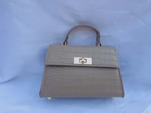 حقيبة أنيقة وعصرية و كلاسيكية