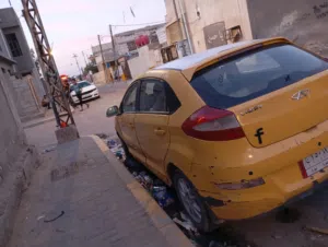 شيري فلاوين 2013