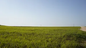 Residential Land for Sale in Irbid Johfiyeh