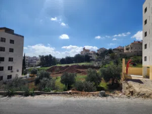 Residential Land for Sale in Amman Daheit Al Rasheed