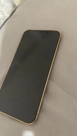 ايفوان بروماكس12