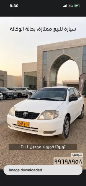 Used Toyota Corolla in Muscat