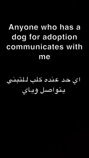 اي حد عنده كلب للتبني يتواصل وياي