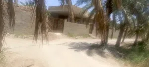 Farm Land for Sale in Basra Al-Midaina