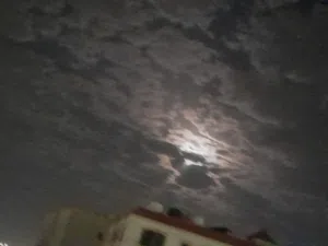 محمد الطيب 