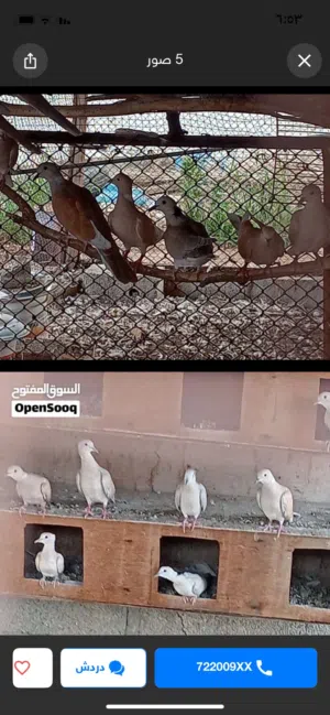 للبيع حمام عفاد