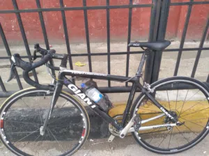 road bic 10 geer gaint