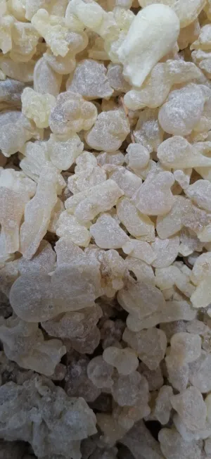 لبان دكر ممتاز عالي الجوده.. اسعار مختلفه