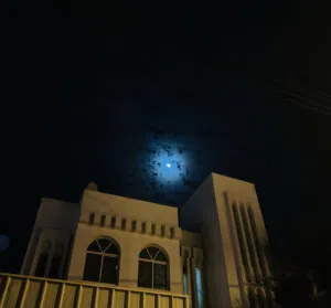الصفحه الرسميه 