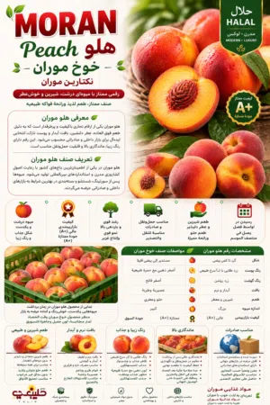 نكتارين وخوخ موران