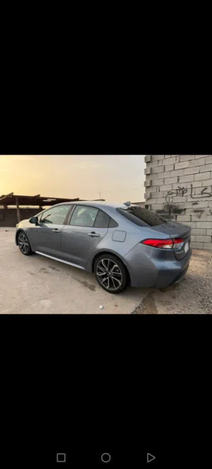 كورلاء البيع 2021