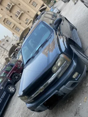 تريل بليزر 2006