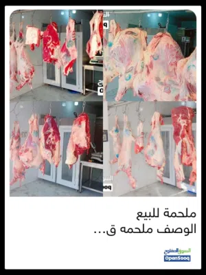 ملحمه للبيع في لزغ سبب البيع راجع الى البلدملحمه للبيع في لزغ ملحمه ما شاء الله شغاله بس سبب البيع م