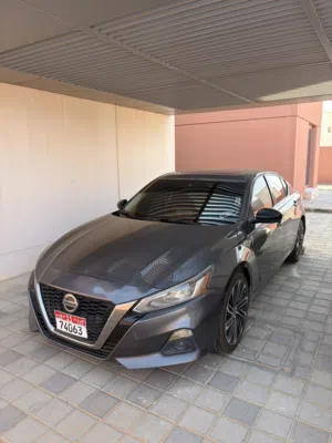التيما للبيع وراد امريكا حادثها ف امريكا و الموتر موجود في غنيمه استخدام حشمه و يباله تعديل