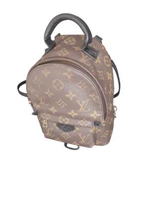 authentic louis Vuitton