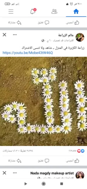 معلمة كيمياء وعلوم للحلقة الاولى والمتوسطة