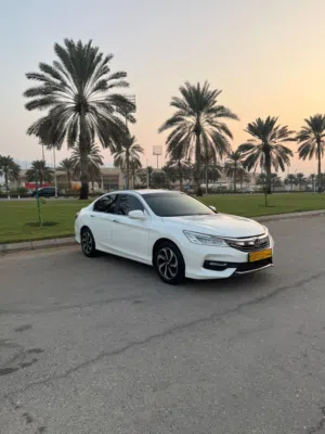 Used Honda Accord in Muscat
