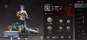 حساب ببجي للبيع