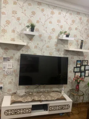 Smart tv تلفزيون زكي 55