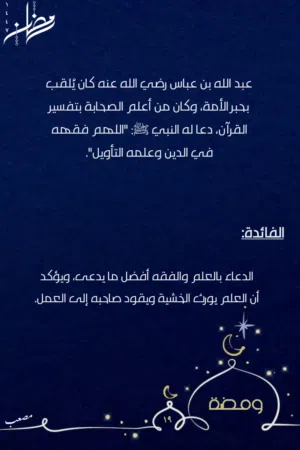 ابحث عن قط التبني