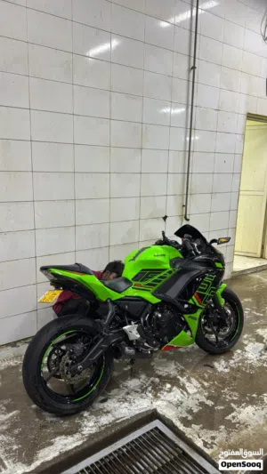 Kawasaki Ninja 650 (2024) كاواساكي نينجا